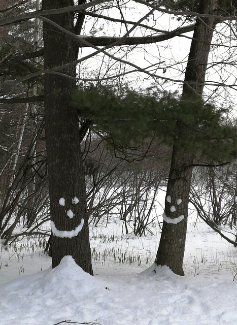 Smiling trees-2021 Feb 5