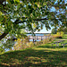 Under the Linden by the lake.