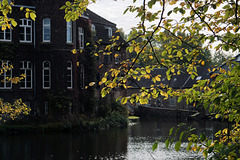 Am Schloss Linnep