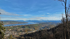 Adliswil ZH / Zürichsee mit Halbinsel Au