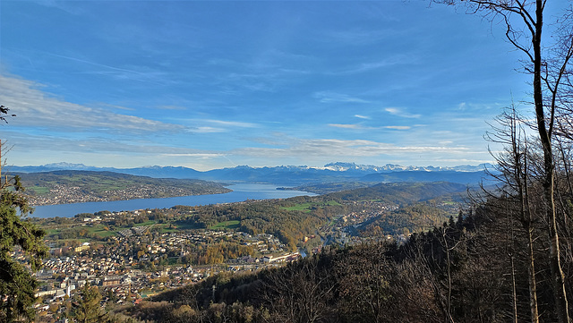 Adliswil ZH / Zürichsee mit Halbinsel Au