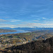 Adliswil ZH / Zürichsee mit Halbinsel Au