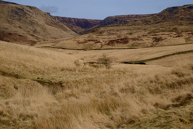 Bleaklow from Mossy Lea