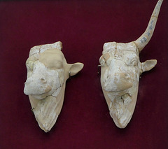 Sitia - Archaeological Museum