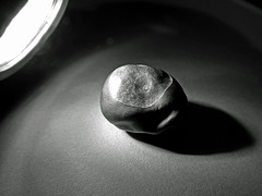 Kastanie im rechten Licht Kastanie im rechten Licht