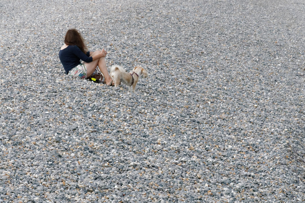 Une fille, un chien et quelques millions de galets