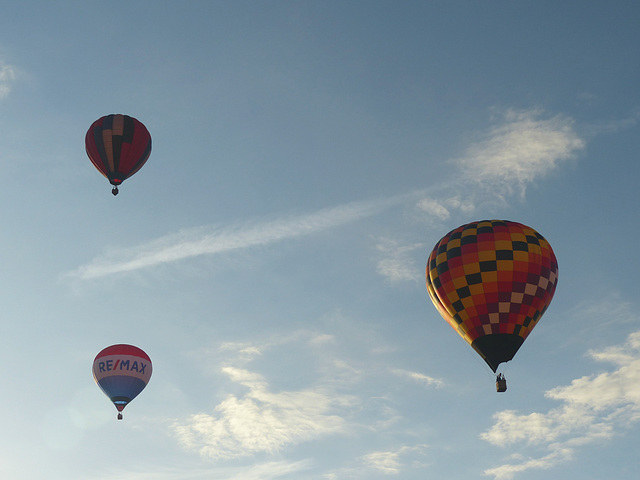 Cathedral City Balloon Festival (34) - 22 November 2019