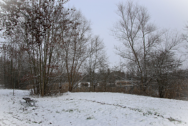 Schnee im Januar