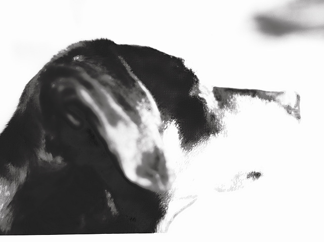 Benny, Studie, Film