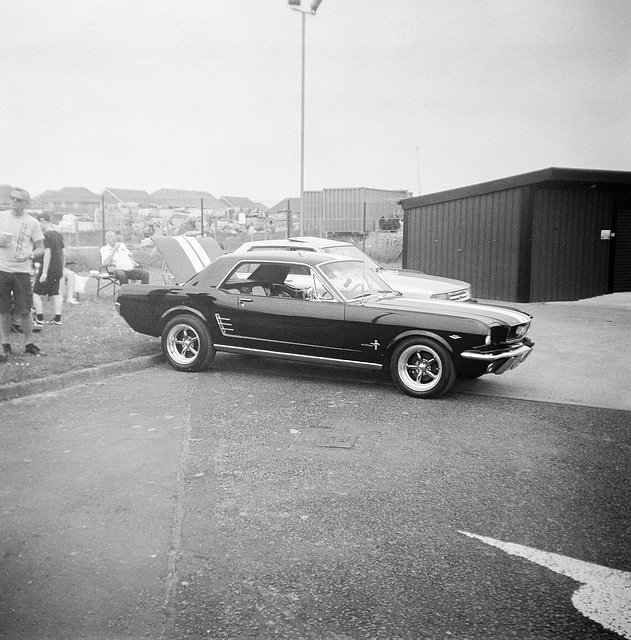 Mustang - Ilford XP2