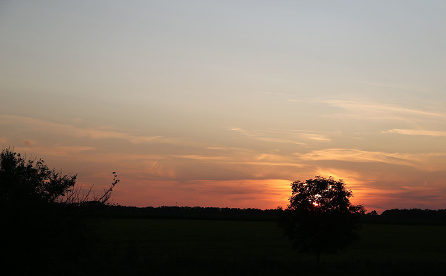 IMG 3387~2