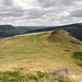 Crook Hill SE top from NW top