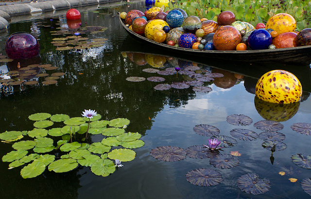 Lily and boat, Italian Garden