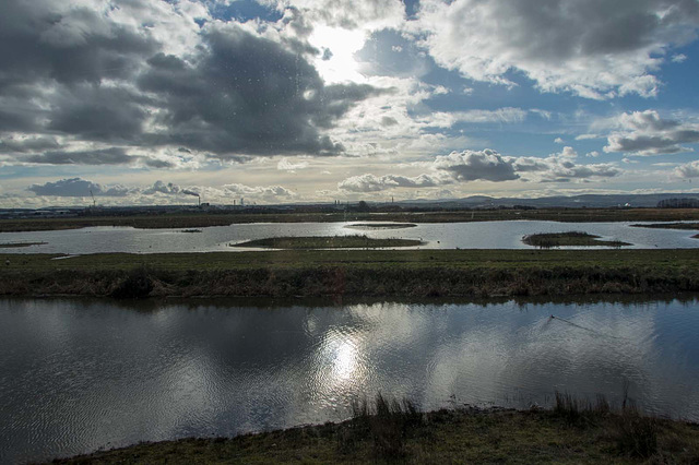 Burton wetlands