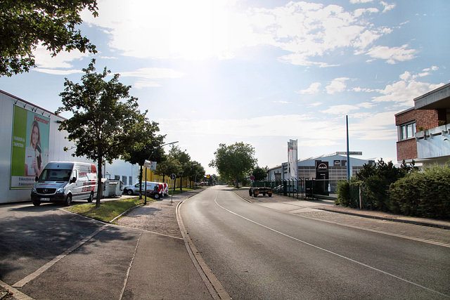 Lünsingskuhle (Dorsten) / 19.07.2020