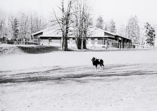 Gehege Harzhaus, Benneckenstein, Film