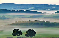 Surrey Downs