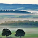 Surrey Downs