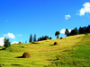 View at Petrov Polje in the summer