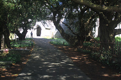 Yew Avenue