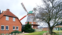 Neubukow, Windmühle