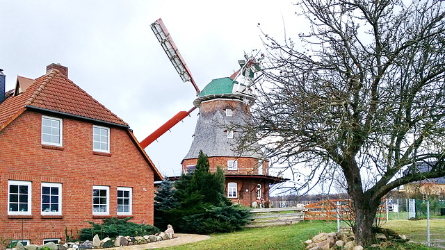 Neubukow, Windmühle