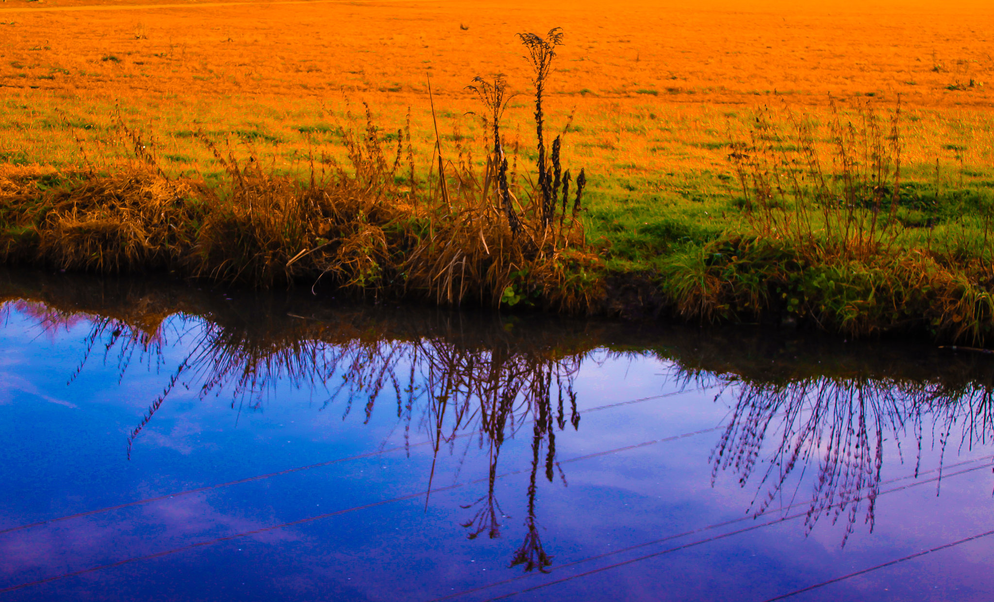 Colours