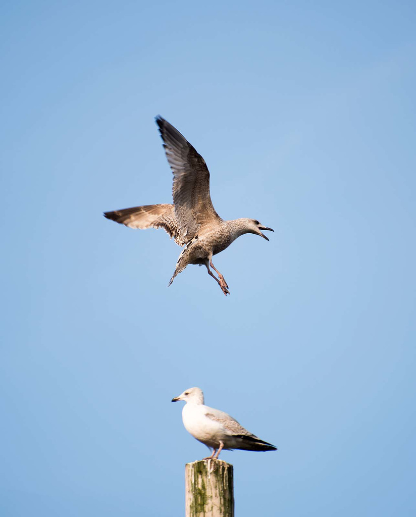 On the approach