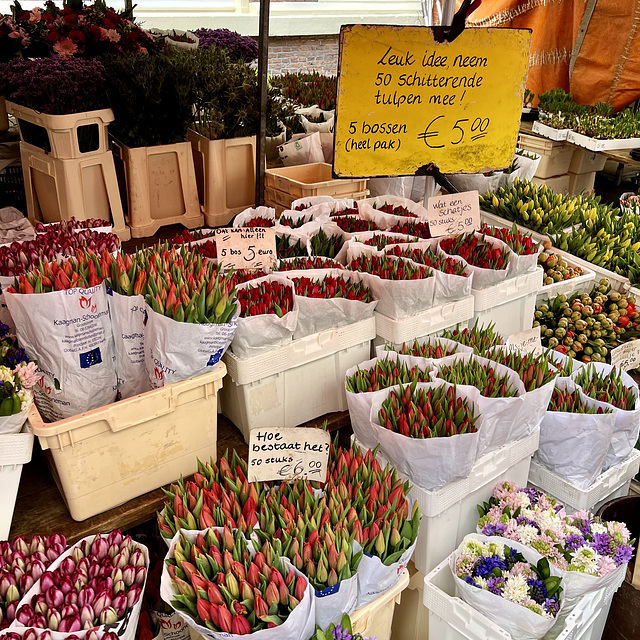 Haarlem 2022 – Flowers