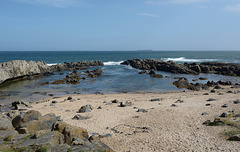 Towards the Farne Islands