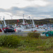 Berlevåg