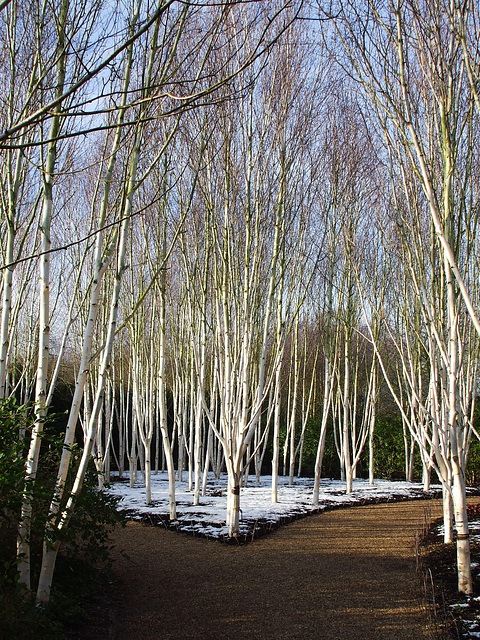 Anglesey Abbey 2013-01-17