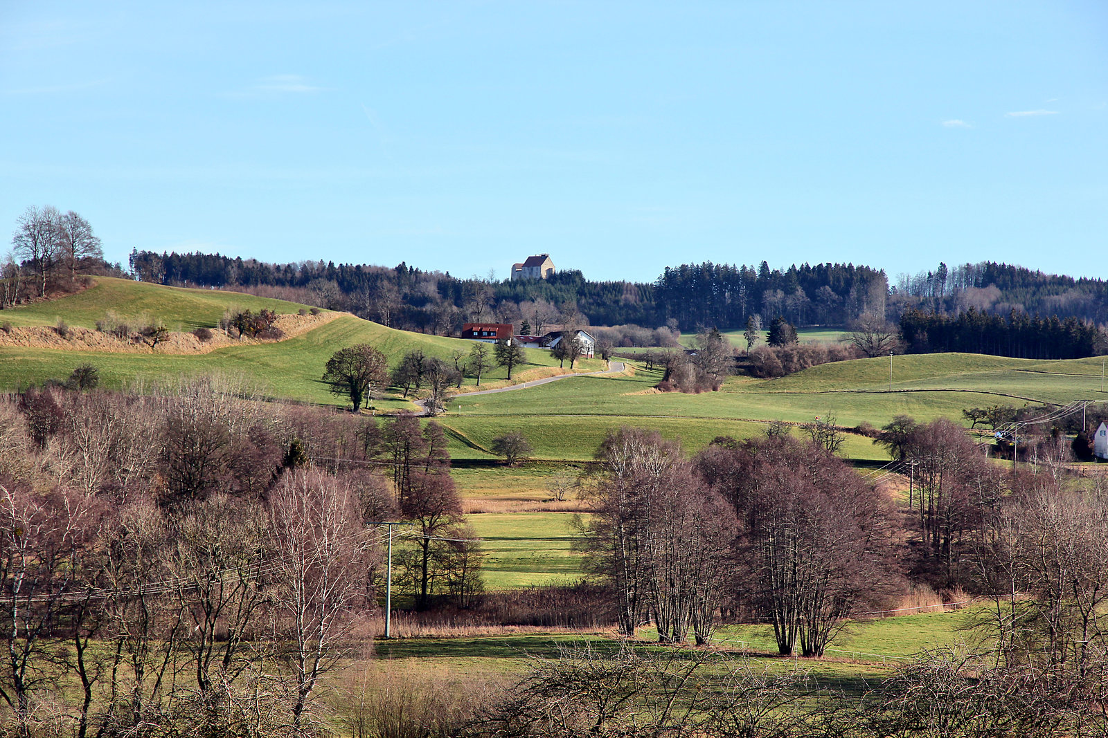 Blick vom Westen auf die Waldburg