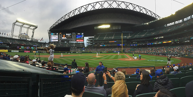 Safeco Panorama