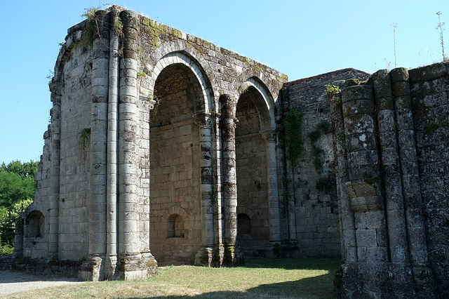 Abbaye de la Grainetière - Ruines de l'église abbatiale