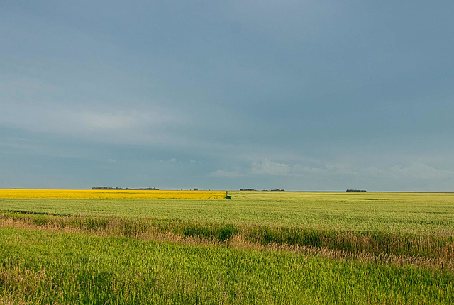 prairie straight lines