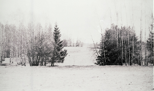 Wald, Benneckenstein, Film