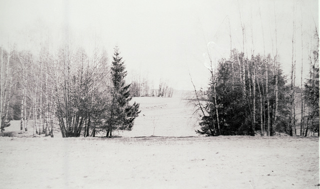 Wald, Benneckenstein, Film
