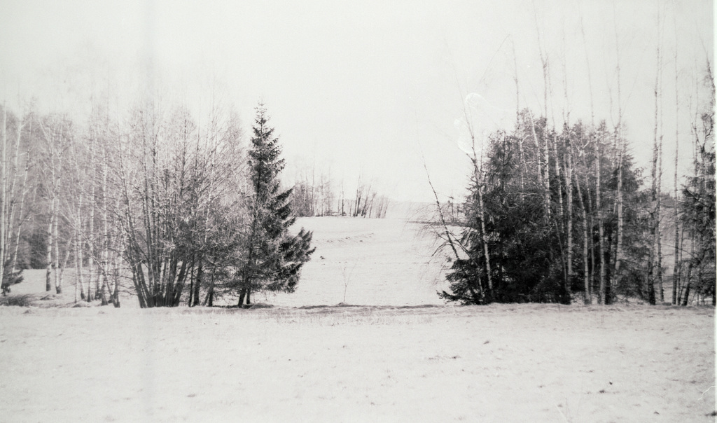 Wald, Benneckenstein, Film