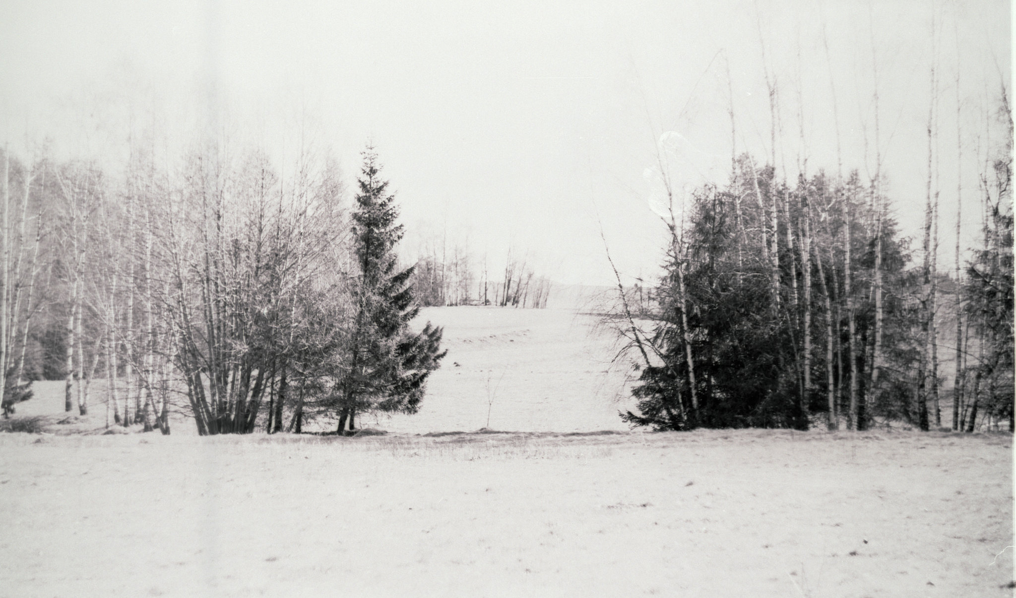 Wald, Benneckenstein, Film