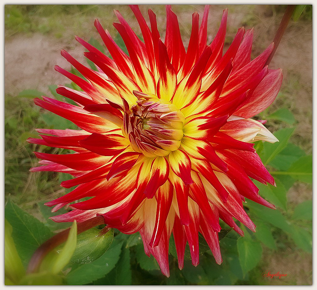 Bon jeudi mes ami(e)s ! et prenez bien soin de vous ❤️ Bon jeudi mes ami(e)s ! et prenez bien soin de vous ❤️