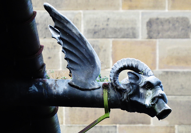 cardiff castle (26)