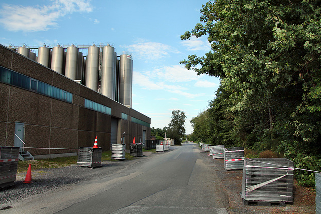 Gottlieb-Daimler-Straße (Dorsten) / 19.07.2020