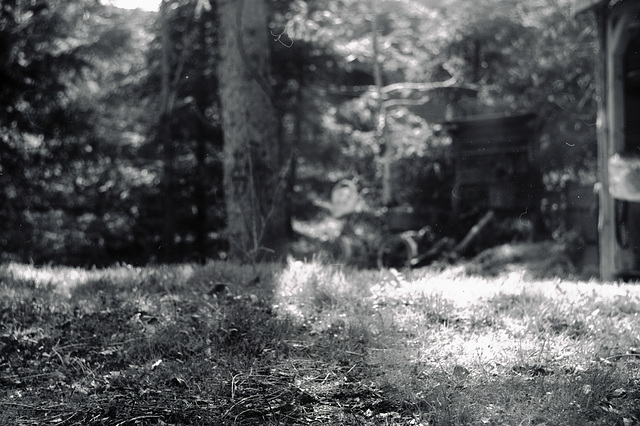 Garten, Familie, Benneckenstein, Film