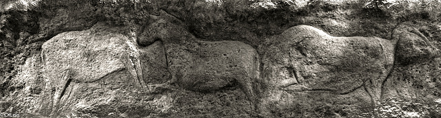 Chevaux du magdanelien.