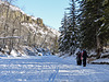 Fish Creek Park New Year's Day Bird Count