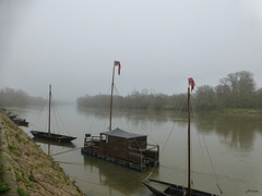 Brumes de Loire.