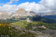 Il mio canto libero