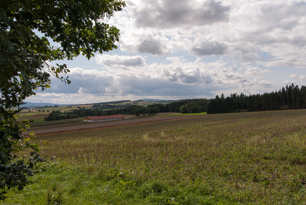 Steinhaus bei Kothigenbibersbach