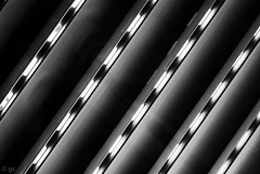 Roller blinds